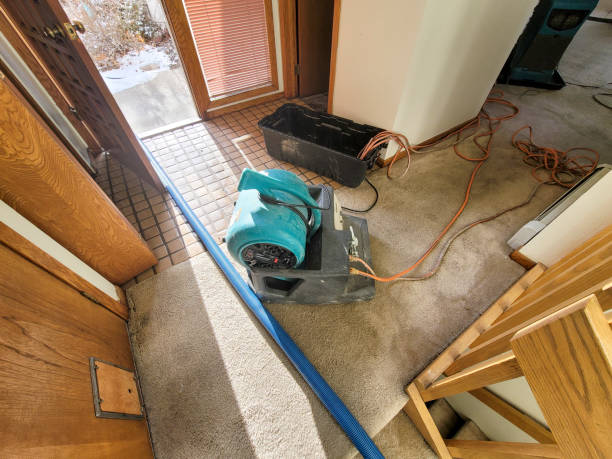 Best Water damage restoration near me  in Pantego, TX