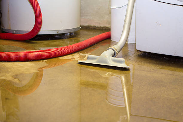 Best Carpet water damage restoration  in Pantego, TX