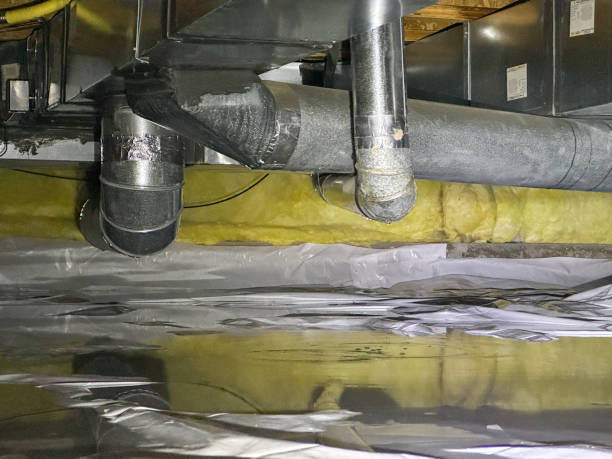 Best Water damage cleanup near me  in Pantego, TX