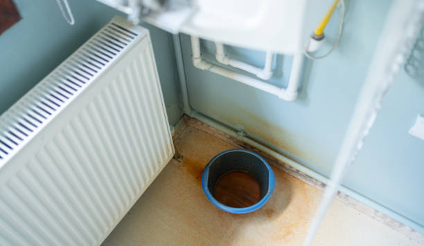 Best Local water damage restoration  in Pantego, TX
